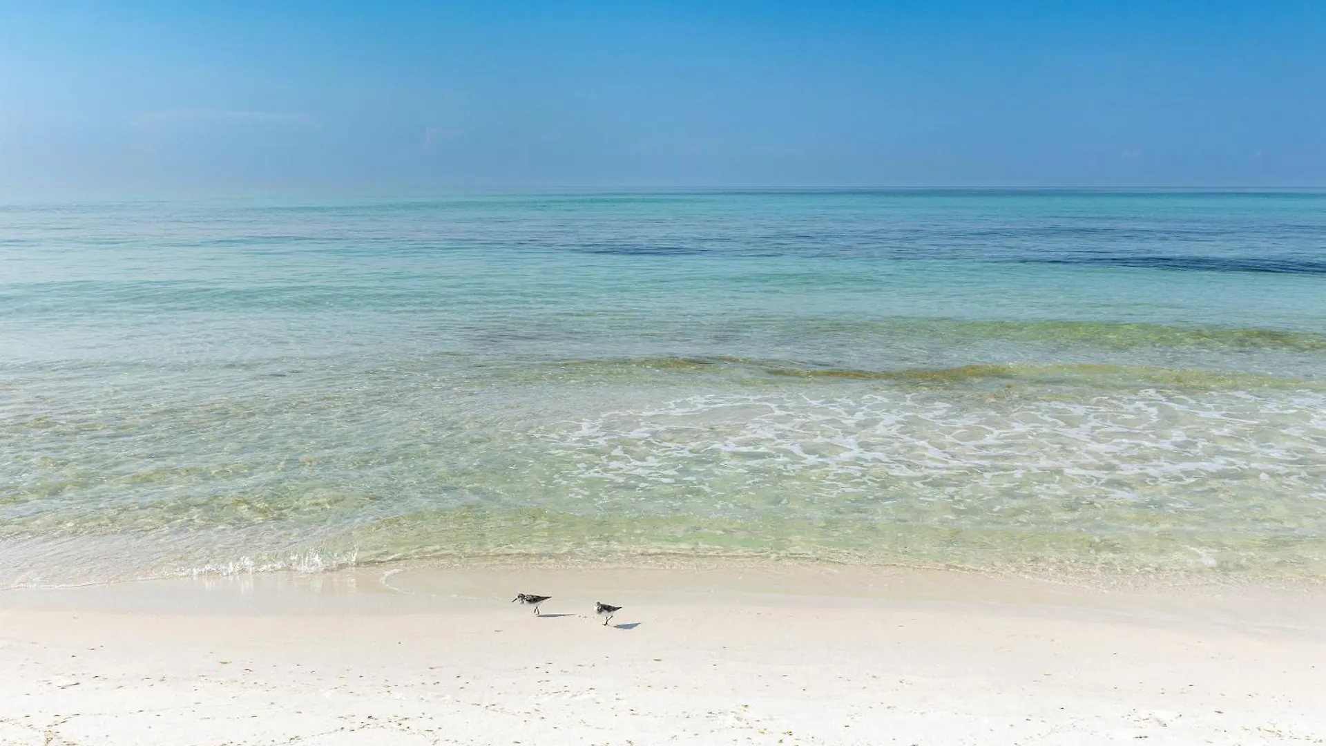 Sandpiper Cove 9230- By Holiday Isle Properties Destin Apartment